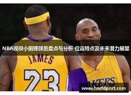 NBA现役小前锋球员盘点与分析 位置特点及未来潜力展望